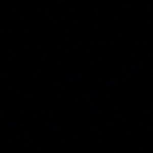 Meet your Posher, Ali